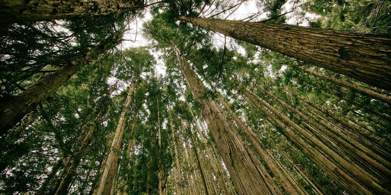 工业制造3.0：机械加工与制造业的数字化转型新纪元