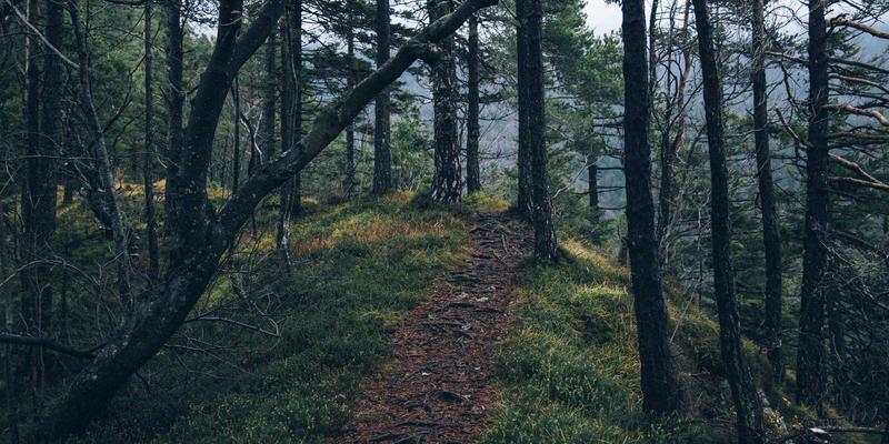 工业制造4.0时代：从传统制造技术到智能制造的跃迁之路