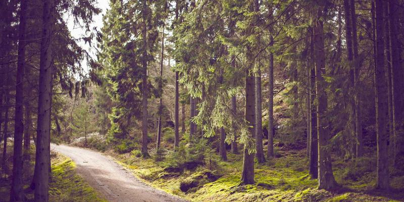 工业大数据分析实战：驱动制造过程优化的关键技术交流