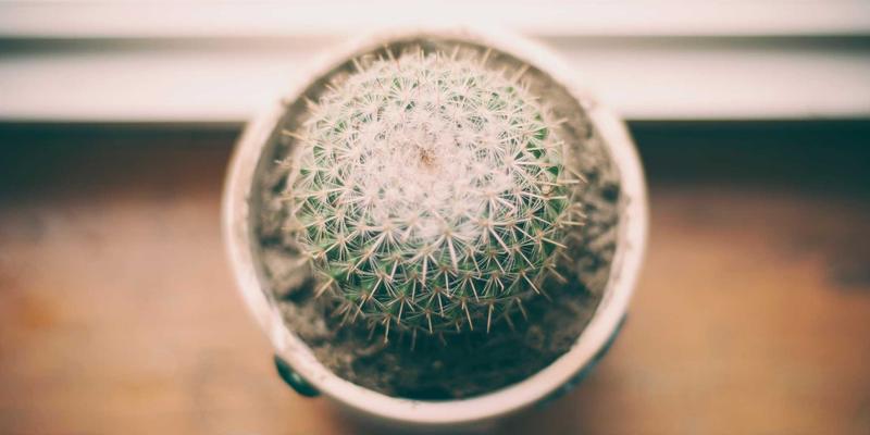 工业物联网平台选型指南：评估五大核心能力，赋能机械加工与自动化制造